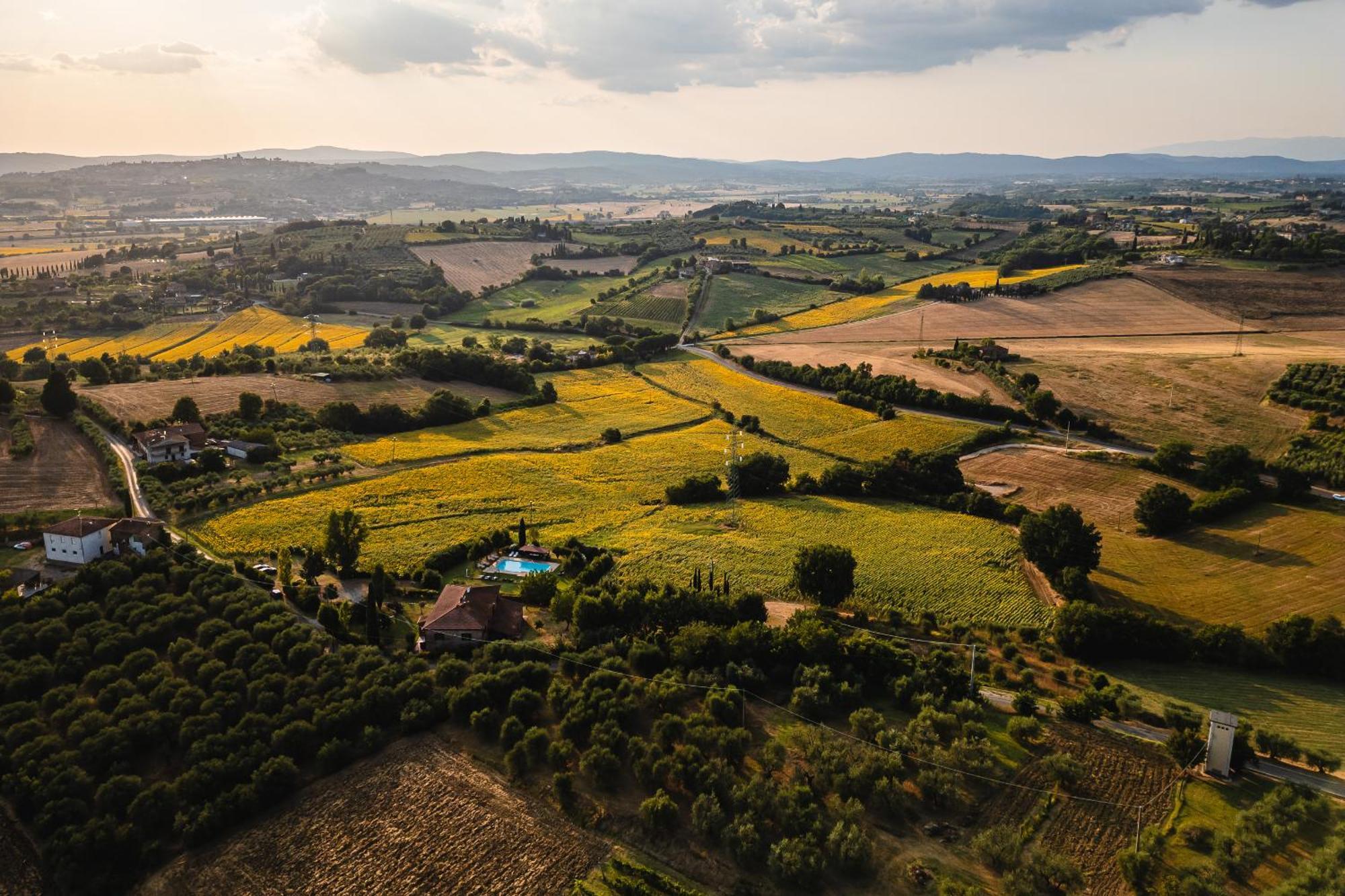 Villa Le Belle Giornate Foiano Della Chiana Eksteriør bilde